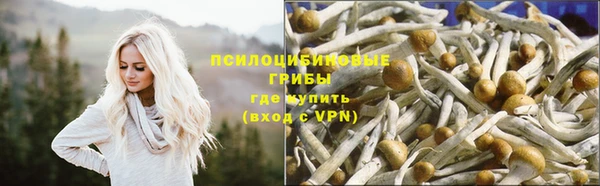 ALPHA PVP Дмитровск