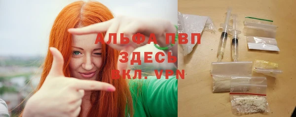 гашик Дмитриев