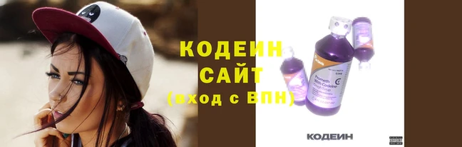 скорость Заводоуковск