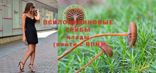 каннабис Ельня