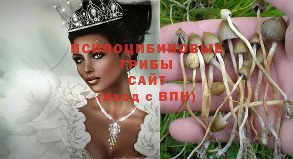 каннабис Ельня